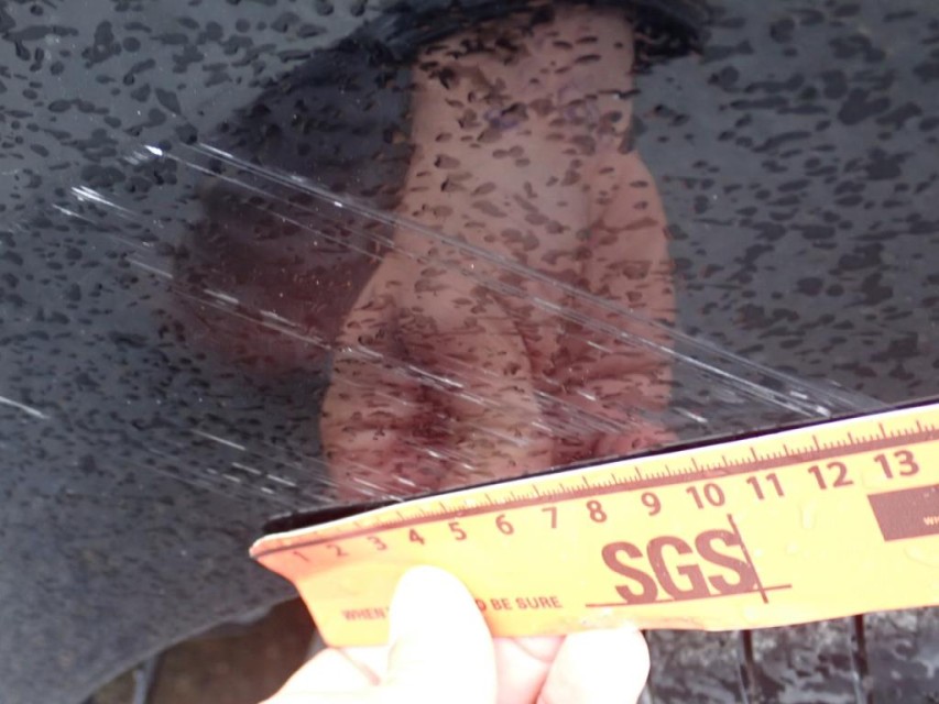  Renault  Espace  1.6 dCi 160ch energy Zen EDC #18