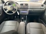  Skoda  Fabia 1.2 TDI Greenline #9