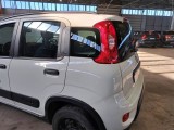  Fiat  Panda FIAT  / 2011 / 5P / BERLINA 0.9 TWINAIR TURBO 85CV SeS E6-TEMP 4X4 #55