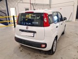  Fiat  Panda FIAT  / 2011 / 5P / BERLINA 1.2 69CV SeS E6D-TEMP EASY #2