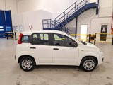  Fiat  Panda FIAT  / 2011 / 5P / BERLINA 1.2 69CV SeS E6D-TEMP EASY #7