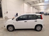  Fiat  Panda FIAT  / 2011 / 5P / BERLINA 1.2 69CV SeS E6D-TEMP EASY #8