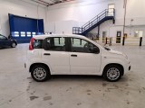  Fiat  Panda FIAT  / 2011 / 5P / BERLINA 1.2 69CV SeS E6D-TEMP EASY #7