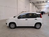  Fiat  Panda FIAT  / 2011 / 5P / BERLINA 1.2 69CV SeS E6D-TEMP EASY #8