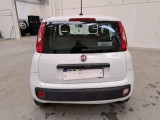  Fiat  Panda FIAT  / 2011 / 5P / BERLINA 1.2 69CV SeS E6D-TEMP EASY #35