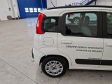  Fiat  Panda FIAT  2012 5 PORTE BERLINA 1.2 69CV E6 LOUNGE #52