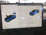  Tesla  Model 3  Standard RWD Plus MY21  #8