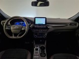  Ford  Kuga FORD  / 2019 / 5P / SUV 2.5 BENZINA PHEV 225CV 2WD ST-LINE X AUT #3