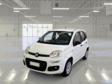  Fiat  Panda FIAT  / 2012 / 5P / BERLINA 1.2 69 CV VAN EURO6D 4 POSTI EASY 