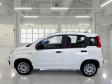  Fiat  Panda FIAT  / 2012 / 5P / BERLINA 1.2 69 CV VAN EURO6D 4 POSTI EASY #8