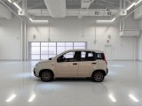  Fiat  Panda FIAT  / 2012 / 5P / BERLINA 1.3 MJT 80 CV VAN EURO6 SeS 4 POSTI EASY #8