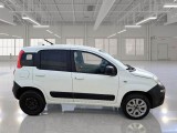  Fiat  Panda FIAT  VAN 2012 1.3 MJT 75CV EU5+VAN CLIMBING 4X4 2P.POP #7