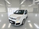  Fiat  Panda FIAT  / 2011 / 5P / BERLINA 1.2 69CV E6D-TEMP EASY 