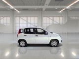  Fiat  Panda FIAT  / 2011 / 5P / BERLINA 1.2 69CV E6D-TEMP EASY #7