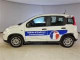  Fiat  Panda FIAT  / 2011 / 5P / BERLINA 1.0 FIREFLY 70CV SeS HYBRID #8