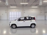  Fiat  Panda FIAT  / 2011 / 5P / BERLINA 1.2 69CV E6D-TEMP EASY #8