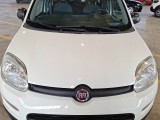  Fiat  Panda FIAT  / 2011 / 5P / BERLINA 1.2 69CV E6D-TEMP EASY #24