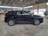  Ford  Kuga FORD  / 2019 / 5P / SUV 2.5 BENZINA PHEV 225CV 2WD TIT.BUS. AUT #7