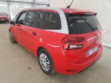  Citroen  C4 Grand Picasso /Spacetourer Business + 1.5 BlueHDi 130CV BVA8 E6dT #2