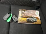  Skoda  Karoq  Business 1.6 TDI 115CV BVM6 E6dT #12