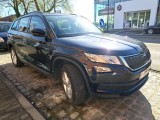 Skoda  Kodiaq  2.0 CR TDi Ambition DSG 110 kw. [ winter + tyres + alloy wheels] #11