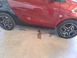  Smart  ForTwo SMART  COUPÈ / 2019 / 3P / COUPE EQ 60KW PULSE #36