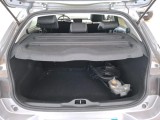  Citroen  C4  Cactus Shine Business 1.2 PureTech 110CV BVM6 E6d #10