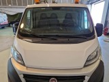  Fiat  Ducato FIAT  2014 FURGONE MAXI 35 MH1 2.3 MULTIJET 130CV 6M #23
