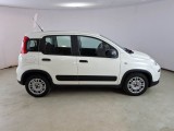  Fiat  Panda FIAT  / 2012 / 5P / BERLINA 1.0 70CV HYBRID EURO 6D VAN 4 P. STREET #7