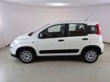  Fiat  Panda FIAT  / 2012 / 5P / BERLINA 1.0 70CV HYBRID EURO 6D VAN 4 P. STREET #8