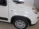  Fiat  Panda FIAT  / 2012 / 5P / BERLINA 1.0 70CV HYBRID EURO 6D VAN 4 P. STREET #28