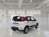  Fiat  Panda FIAT  / 2012 / 5P / BERLINA 1.0 70CV HYBRID EURO 6D VAN 4 P. STREET #2