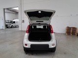  Fiat  Panda FIAT  / 2012 / 5P / BERLINA 1.0 70CV HYBRID EURO 6D VAN 4 P. STREET #5