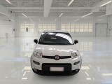  Fiat  Panda FIAT  / 2012 / 5P / BERLINA 1.0 70CV HYBRID EURO 6D VAN 4 P. STREET #6
