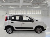 Fiat  Panda FIAT  / 2012 / 5P / BERLINA 1.0 70CV HYBRID EURO 6D VAN 4 P. STREET #7