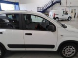  Fiat  Panda FIAT  / 2012 / 5P / BERLINA 1.0 70CV HYBRID EURO 6D VAN 4 P. STREET #51