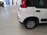  Fiat  Panda FIAT  / 2012 / 5P / BERLINA 1.0 70CV HYBRID EURO 6D VAN 4 P. STREET #55