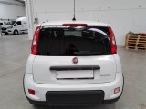  Fiat  Panda FIAT  / 2012 / 5P / BERLINA 1.0 70CV HYBRID EURO 6D VAN 4 P. STREET #59