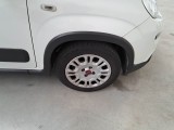  Fiat  Panda FIAT  / 2012 / 5P / BERLINA 1.0 70CV HYBRID EURO 6D VAN 4 P. STREET #73