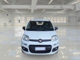  Fiat  Panda FIAT  / 2012 / 5P / BERLINA 1.3 MJT 80 CV VAN EURO6 SeS 4 POSTI EASY #6