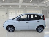  Fiat  Panda FIAT  / 2012 / 5P / BERLINA 1.3 MJT 80 CV VAN EURO6 SeS 4 POSTI EASY #8