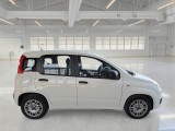  Fiat  Panda FIAT  / 2012 / 5P / BERLINA 1.3 MJT 80 CV VAN EURO6 SeS 4 POSTI EASY #7