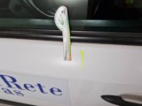  Renault  Kangoo RENAULT  EXPRESS / 2013 / 4P / VETT. FURGONATA 1.5 DCI 75CV SeS ICE #55