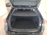  Skoda  Octavia  Break Business 2.0 TDI 115CV BVM6 E6d #10