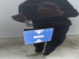  Volvo  XC60 Volvo XC40 P8 4x4 Recharge R-Design 5d #51