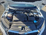  Skoda  Octavia  Lim. (NX3)(2020) Oct.1.5 e-TEC 110 Style AT #9