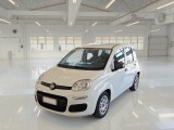  Fiat  Panda FIAT  / 2011 / 5P / BERLINA 1.0 70CV SeS HYBRID 