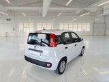  Fiat  Panda FIAT  / 2011 / 5P / BERLINA 1.0 70CV SeS HYBRID #2