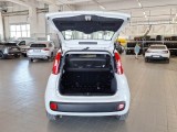  Fiat  Panda FIAT  / 2011 / 5P / BERLINA 1.0 70CV SeS HYBRID #5