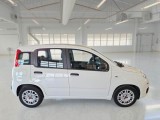  Fiat  Panda FIAT  / 2011 / 5P / BERLINA 1.0 70CV SeS HYBRID #7
